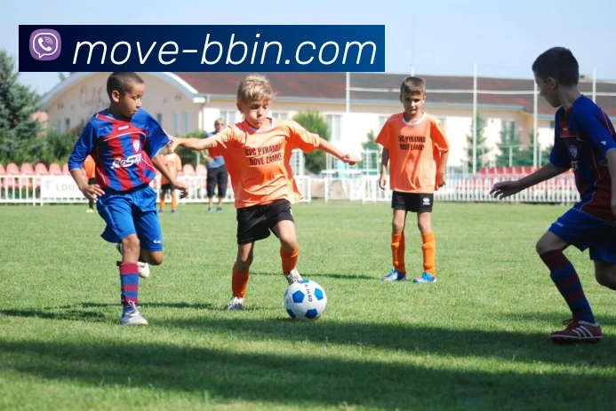 BBIN体育服务体系